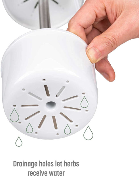 Goodful Herb Keeper Preserver, Designed for Optimum Breathable Airflow for Maximum Freshness, Water Line Ensures the Use of the Right Amount of Water, Stores in your Refrigerator