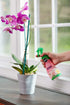 Miracle-Gro Ready-To-Use Orchid Plant Food Mist, 8 oz., Orchid Food Feeds Plants Instantly, 1 Pack