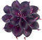 ZGPEPEXIA 15 Pcs Real Touch Calla Lily Artificial Flowers Wedding Bridal Bouquet Home Décor Party (Dark Plum Purple)