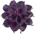 ZGPEPEXIA 15 Pcs Real Touch Calla Lily Artificial Flowers Wedding Bridal Bouquet Home Décor Party (Dark Plum Purple)