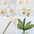 FagusHome 32" Artificial Phalaenopsis Flowers 4 Pcs with 2 Bundles Leaves Artificial Orchid Flowers Stem Plants for Home Décor (White)