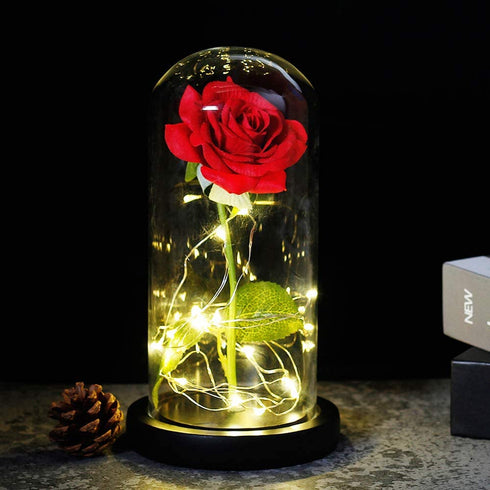 Beauty and The Beast Red Rose in A Glass Dome On A Wooden Base for Valentine's Gifts LED Rose Lamps (Black Bottom)