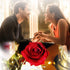 Beauty and The Beast Red Rose in A Glass Dome On A Wooden Base for Valentine's Gifts LED Rose Lamps (Black Bottom)