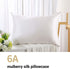 ZIMASILK 100% Mulberry Silk Pillowcase for Hair and Skin Health,Soft and Smooth,Both Sides Premium Grade 6A Silk,600 Thread Count,with Hidden Zipper,1pc(Standard 20''x26'',Ivory)