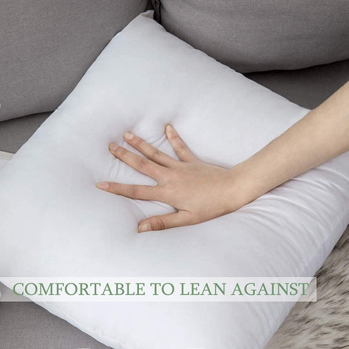 MIULEE Throw Pillow Insert Hypoallergenic Premium Pillow Stuffer Sham Square for Decorative Cushion Bed Couch Sofa 24x24 Inch