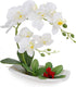 LIVILAN Artificial Orchid White Arrangements for Decoration Silk Fake Flowers for Table Centerpiece Home Bathroom Decor Office Wedding Vivid