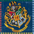 Harry Potter Party Napkins, 16ct