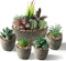 SOPHSEAG Small Artificial Succulent Plants Artificial Potted Faux Plant Decor, Mini Fake Succulent Plants Arrangement Decorations for Office Home Shelf Desk, in Rustic Textured Pulp Pots (Set of 5)