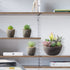 SOPHSEAG Small Artificial Succulent Plants Artificial Potted Faux Plant Decor, Mini Fake Succulent Plants Arrangement Decorations for Office Home Shelf Desk, in Rustic Textured Pulp Pots (Set of 5)
