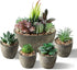 SOPHSEAG Small Artificial Succulent Plants Artificial Potted Faux Plant Decor, Mini Fake Succulent Plants Arrangement Decorations for Office Home Shelf Desk, in Rustic Textured Pulp Pots (Set of 5)