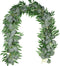 Der Rose 2 Packs 6.2 Feet Artificial Silver Dollar Eucalyptus Leaves Garland with Willow Vines Twigs Leaves String for Doorways Greenery Garland Table Runner Garland Indoor Outdoor.