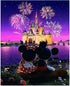 TINDAY Disney DIY Acrylic Paint by Number Kits for Adults Kids Child Beginner Mickey DIY Canvas Painting by Numbers Minnie DIY Painting Acrylic Painting Paint by Numbers Castle 16x20 Inch