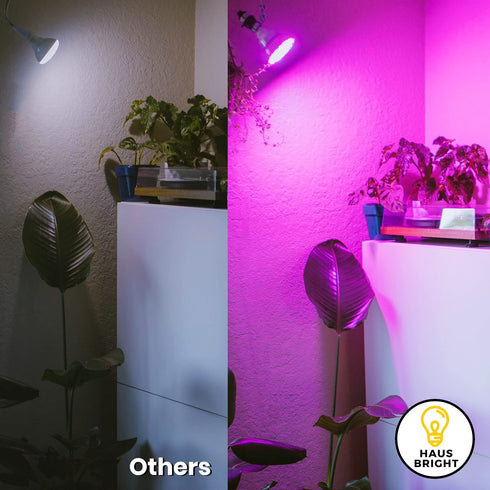Haus Bright LED Grow Light Bulb - for Indoor Plants Full Spectrum Lamp | Seed Starting, House, Garden, Vegetable, Succulent, Hydroponic, Greenhouse Growing | 100W E27 (Original)