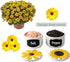 Salt Cellar Salt Pig Salt Box Salt Container Ceramic Sunflower Shaped Salt Cellar With Lid and Spoon
