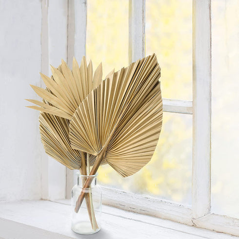 Dried Palm Leaves,4 Pieces 12X18 inch Natural Dried Palm Fans Neutral Home House Decor | Wedding Decor | Leaves + Flower + Leaf Decor