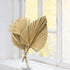 Dried Palm Leaves,4 Pieces 12X18 inch Natural Dried Palm Fans Neutral Home House Decor | Wedding Decor | Leaves + Flower + Leaf Decor