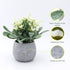 Zuvas Fake Plants Small Eucalyptus Faux Plants in Pots, 2 Pack Mini Potted Artificial Plants, Yellowish Fake Flowers and Greenery Fake Leaves for Office, Home, Desk, Table, Shelf Decor - 5.9? x 7.9?