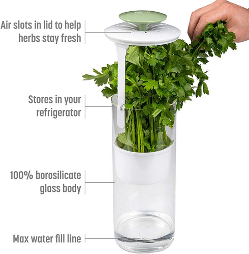 Goodful Herb Keeper Preserver, Designed for Optimum Breathable Airflow for Maximum Freshness, Water Line Ensures the Use of the Right Amount of Water, Stores in your Refrigerator