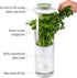 Goodful Herb Keeper Preserver, Designed for Optimum Breathable Airflow for Maximum Freshness, Water Line Ensures the Use of the Right Amount of Water, Stores in your Refrigerator