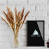GREAT PEAK 100 Pcs Pampas Grass, 20 Pcs Natural Dried Pampas, 20Pcs White Pampas, 60Pcs Rabbit Tail Grass for Home and Boho Decor, Wedding Flower Arrangement, Fluffy Pampas Tall Grass Bouquet