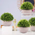 CEWOR 4 Packs Artificial Potted Plants Bathroom Home Office Decor Mini Fake Greenery Faux Topiary Shrubs Plants for Desk Decoration