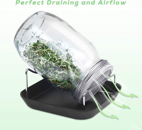 Sprouting Jar Kit - 2 Wide Mouth Mason Jars with 316 Stainless Steel Screen Sprout Lids, Tray,Stand and Brush | Seed Sprouter Set Germination Kit for Growing Broccoli, Alfalfa, Mung Bean (Black)