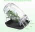 Sprouting Jar Kit - 2 Wide Mouth Mason Jars with 316 Stainless Steel Screen Sprout Lids, Tray,Stand and Brush | Seed Sprouter Set Germination Kit for Growing Broccoli, Alfalfa, Mung Bean (Black)