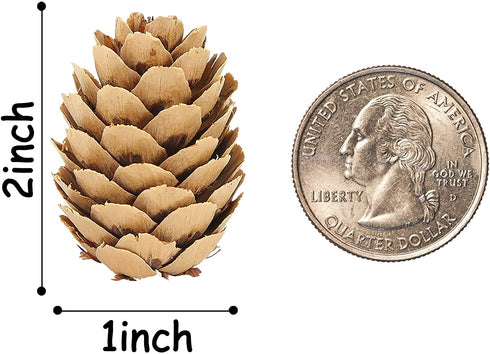JOHOUSE 200PCS Natural Mini Pine Cones,Natural Pine Cones Christmas Pine Cones PineCones Ornaments for Autumn and Winter Decor Christmas Decorations