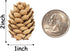 JOHOUSE 200PCS Natural Mini Pine Cones,Natural Pine Cones Christmas Pine Cones PineCones Ornaments for Autumn and Winter Decor Christmas Decorations