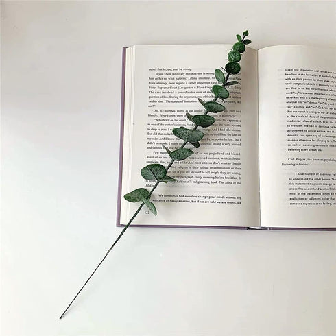 Dried Eucalyptus Branches Real 13 Pcs Preserved Eucalyptus Stems 18 inch Eucalyptus Plant Indoor for Shower Wedding Home DIY Party Restaurant Hotel Office Decoration (Green Eucalyptus)