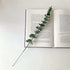Dried Eucalyptus Branches Real 13 Pcs Preserved Eucalyptus Stems 18 inch Eucalyptus Plant Indoor for Shower Wedding Home DIY Party Restaurant Hotel Office Decoration (Green Eucalyptus)