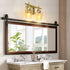 Vanity Lights Fixtures, Zicbol 2 Light Bathroom Light, Gold Bronze Bathroom Lighting Fixtures Over Mirror with Clear Glass Shade, Modern Vanity Lighting for Bath, Living Room, Bedroom