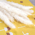 ManYmbyan 40Pcs Pampas Grass,18in Dried Pampas Grass Decor for Home Kitchen Wedding Flower Arrangement and Vase Fillings(White)