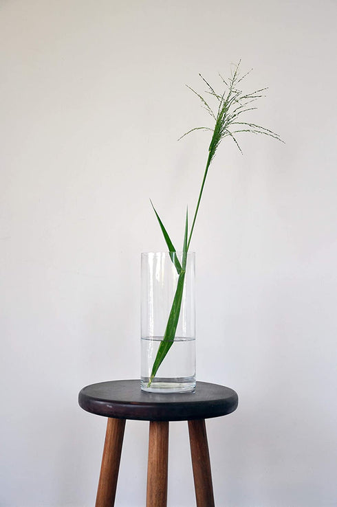 WGV Cylinder Vase, Diameter 5", Height 12", Clear Glass Floral Planter Container, Tall Centerpiece Arrangement for Wedding Party Event Home Office Decor, 1 Piece