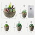 SOPHSEAG Small Artificial Succulent Plants Artificial Potted Faux Plant Decor, Mini Fake Succulent Plants Arrangement Decorations for Office Home Shelf Desk, in Rustic Textured Pulp Pots (Set of 5)