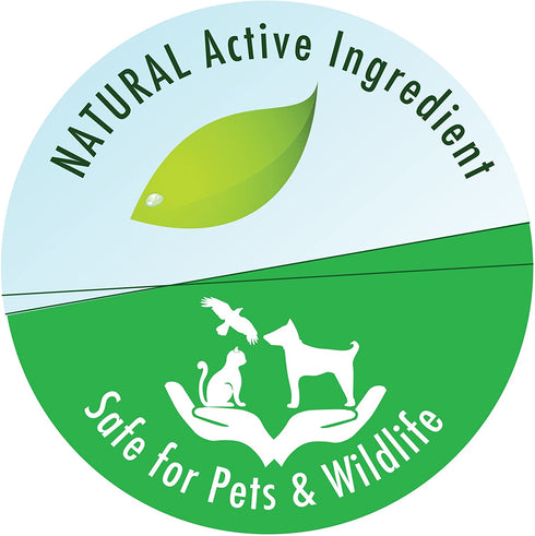 API POND SALT Pond Water Salt 4.4-Pound Container (156C)