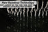 Waterfall Shower Head 12 Inch High Pressure Shower Head XXL Rainfall Shower Head Waterfall Shower Head Rain Shower Head