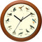Belinlen Singing Bird Wall Clock 12 Inch of The Bird Names and Songs