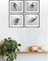 Soccer Wall Art Prints - Particle Silhouette Set of 4 (8x10) Poster Photos - Man Cave- Bedroom Decor