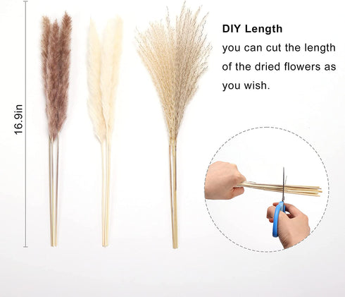 70Pcs Boho Pampas Grass Large,Fluffy Artificial Pampas Grass Decor Tall,Non Shedding Natural Dried Pompass Grass Branches,Pampas Plants for Flower Arrangements Wedding Home Decor