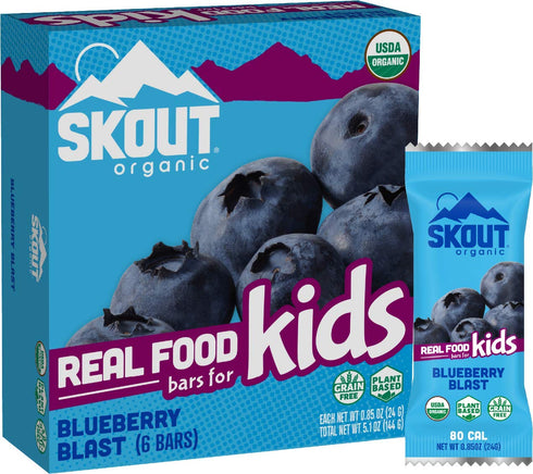 Skout Organic Blueberry Blast Real Food Bars for Kids (6 Pack) | Organic Snacks for Kids | Plant-Based Nutrition, No Refined Sugar | Vegan & Paleo | Gluten, Dairy, Grain, Peanut, Tree Nut & Soy Free