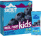Skout Organic Blueberry Blast Real Food Bars for Kids (6 Pack) | Organic Snacks for Kids | Plant-Based Nutrition, No Refined Sugar | Vegan & Paleo | Gluten, Dairy, Grain, Peanut, Tree Nut & Soy Free
