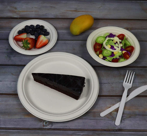 9 inch Compostable Plates, 100 Count Heavyduty Sugarcane/Bagasse and Bamboo Fibre Biodegradable Disposable Paper Plate