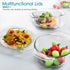 Clear Round Glass Casserole by NUTRIUPS | With Lid, Heat, Cold and Shock Proof,Oven, Freezer and Dishwasher Safe,0.65 L