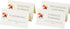 Avery Small Ivory Tent Cards, Laser/Inkjet Printers, 2x3-1/2, Pack of 160 (5913), 2" x 3.5"