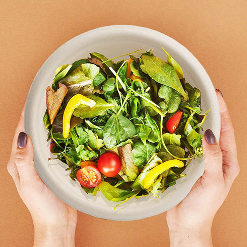 100 Pack 12 oz Disposable Paper Bowls,Heavy Duty Compostable Bowls,Natural Bagasse Bowls,Eco-friendly Paper Alternative Bowls for Parties Restaurants Catering