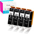 K-Ink Compatible Printer Ink Cartridges Replacement for Canon PGI 250 PGI-250 XL Black PGBK (4 Big Black)