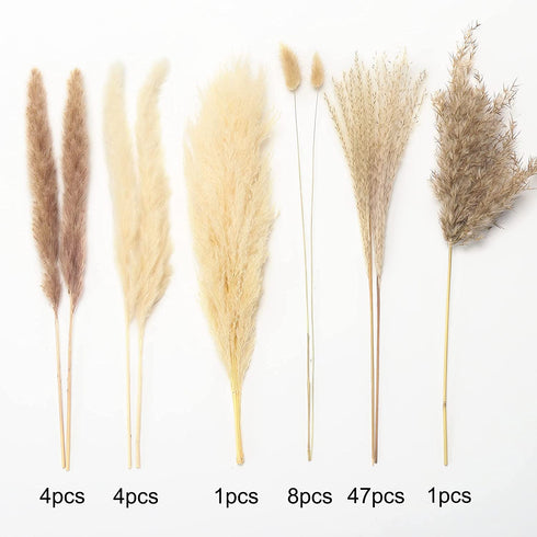 Natural Dried Pampas Grass 65pcs Boho Decor Pampas Grass Bundles Perfect for Home Wedding Decoration Kitchen Decor Flower Arrangement DIY Wreath Balcony Placement