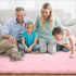 HQAYW Modern Fluffy Area Rug, Shaggy Rugs for Bedroom Living Room Ultra Soft Shag Fur Carpets for Kids Girls Nursery Plush Fuzzy Rug Cute Home Decor Rug, 3' x 5', Pink