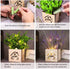 AceList 2 Pcs Decorative Fake Flowers with Led Lights in Wooden Box, Artificial Sunflowers Pot, Artificial Sunflower with Vase for Home Office Desk Kitchen Decoration, Valentine's Day/Mother's Day